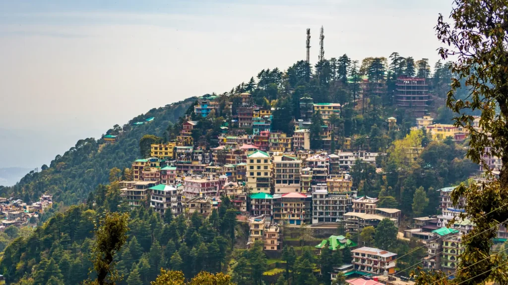 Experience heritage with top group tour companies in India.