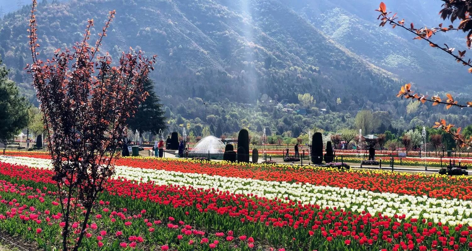 7-days-pearl-of-the-himalayas-kashmir-experience (4)