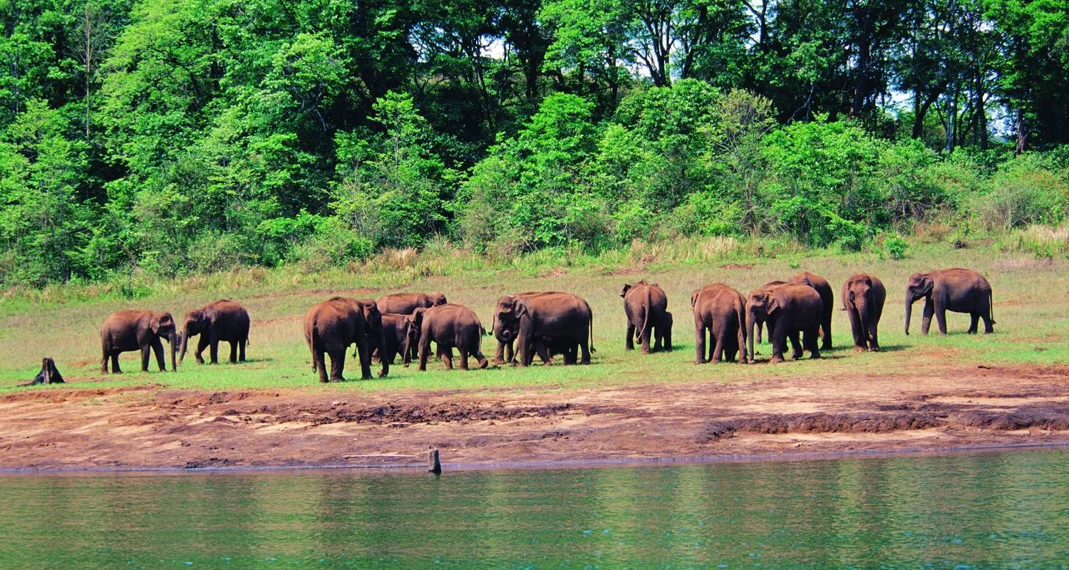 kerala-highlights-of-south-india-7-day-trip (2)
