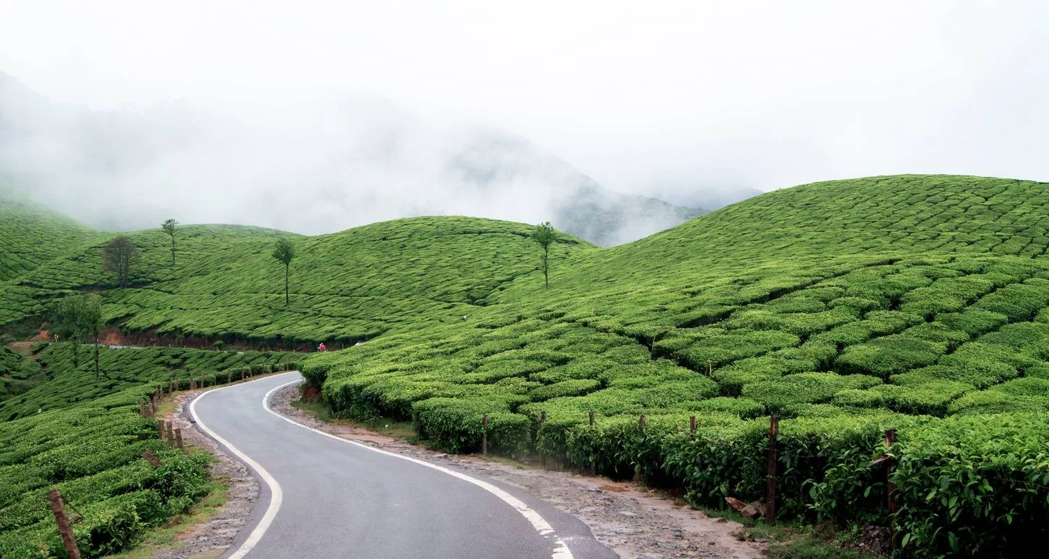 kerala-highlights-of-south-india-7-day-trip (7)