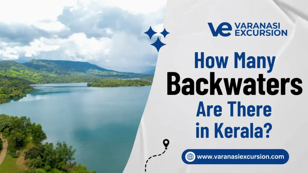 how many backwaters are there in kerala