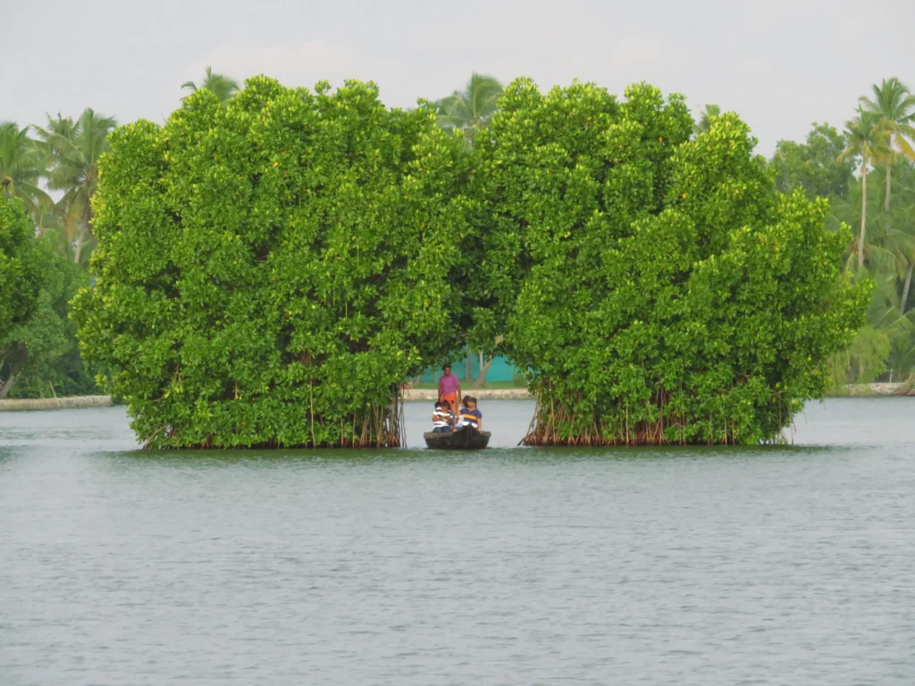 munroe island kerala