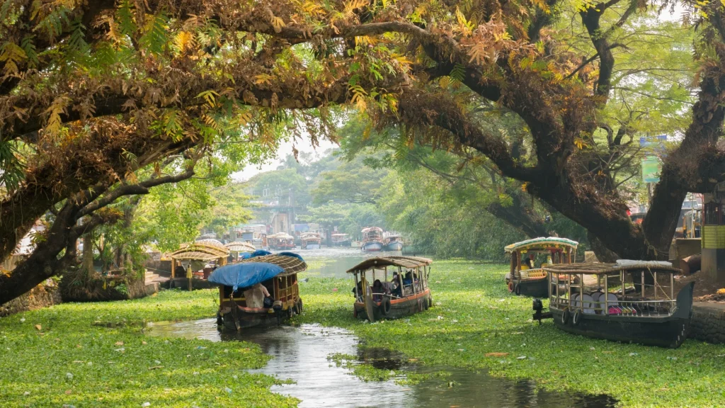 Alleppey is the best place to visit in Kerala during February.
