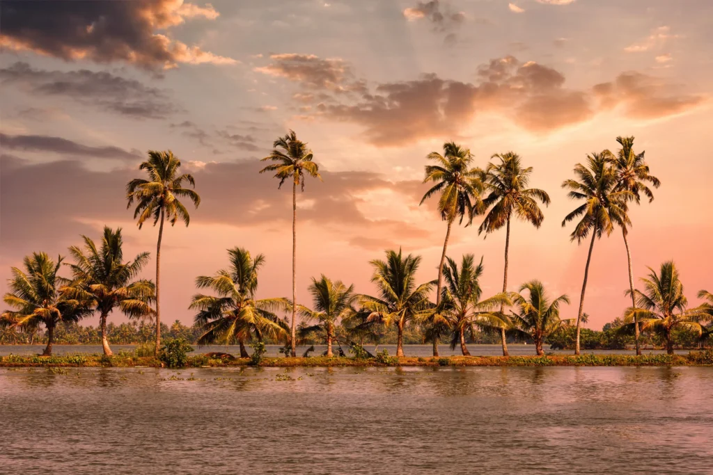 backwaters of alleppey
