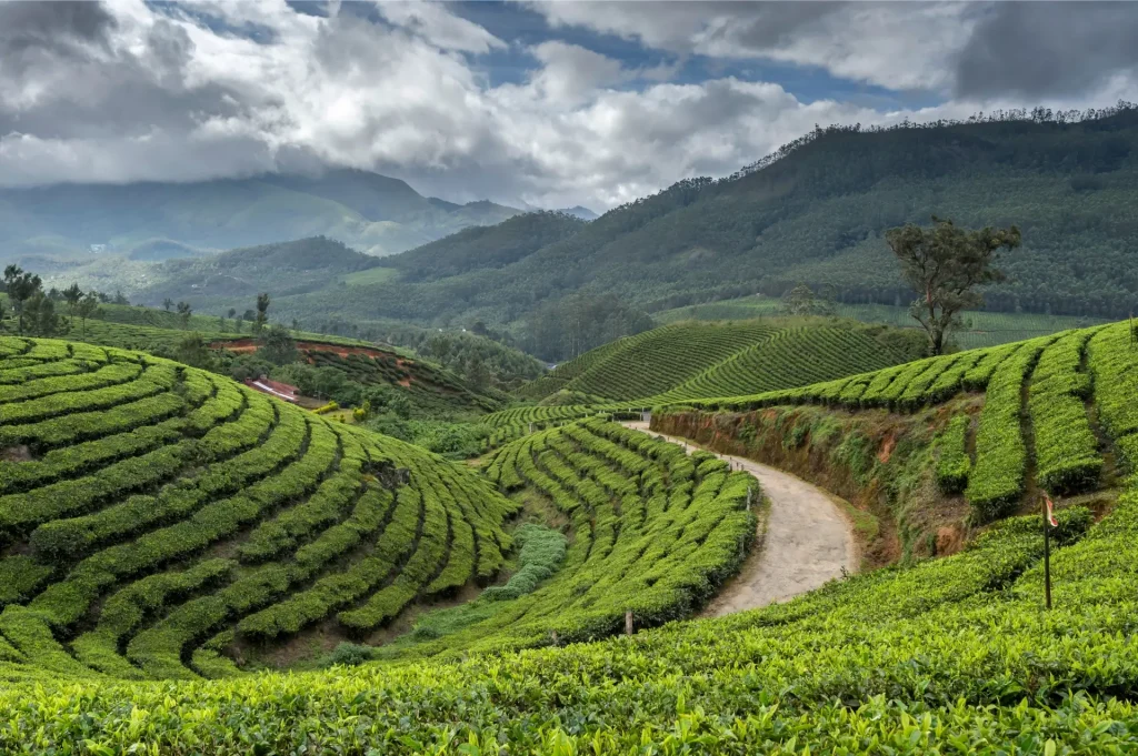 Hill stations are among the best summer destinations in Kerala.