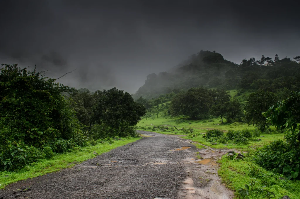 Rainy streets and greenery highlight best time of year to travel to Kochi, India.