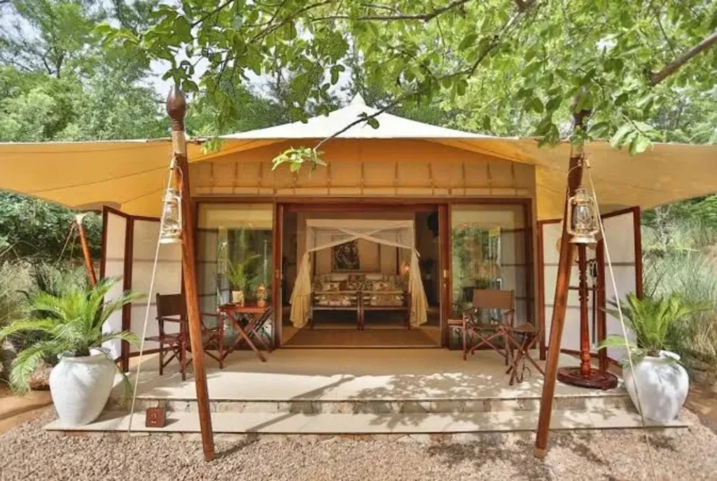 Guests enjoying safari stay at the best wildlife resort in India.