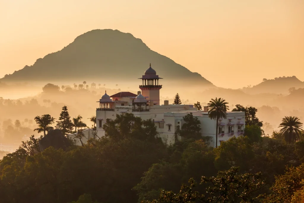 Couple selecting luxury wildlife resorts in India for their safari trip.