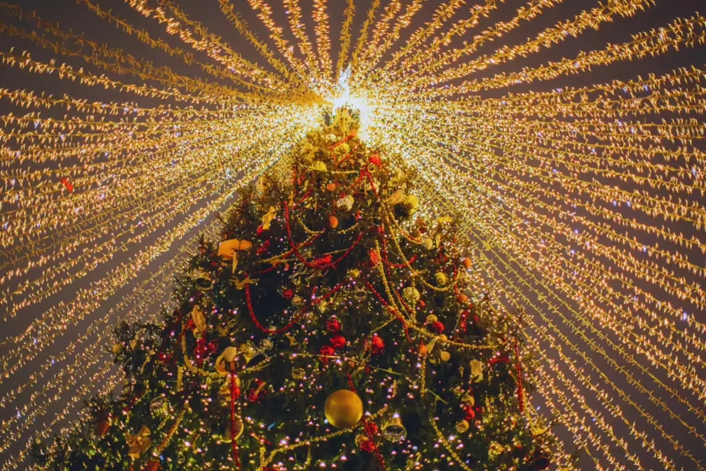 Christmas in India as part of cultural festivals in India.