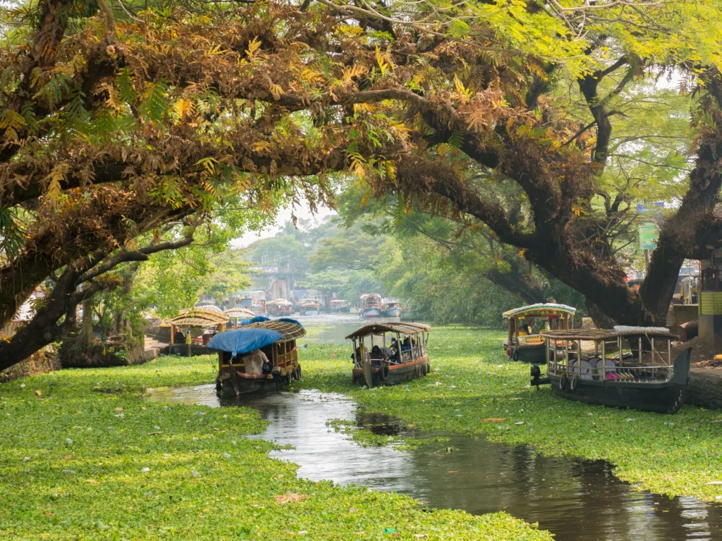 Cochin to Alleppey sightseeing shows quiet canals and village life.