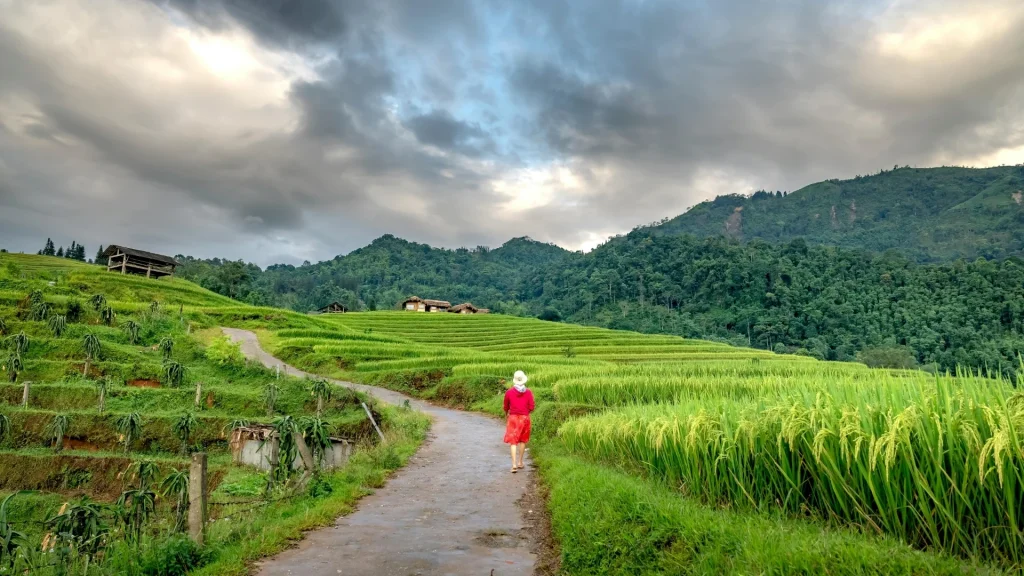 Cochin to Munnar road trip as roads climb into green hills.