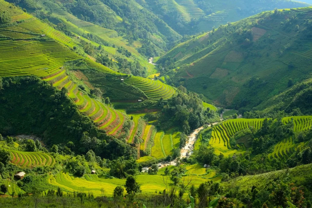 Cochin to Munnar travel time feels longer through hills.