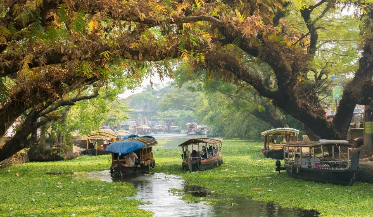 Disembark at Alleppey