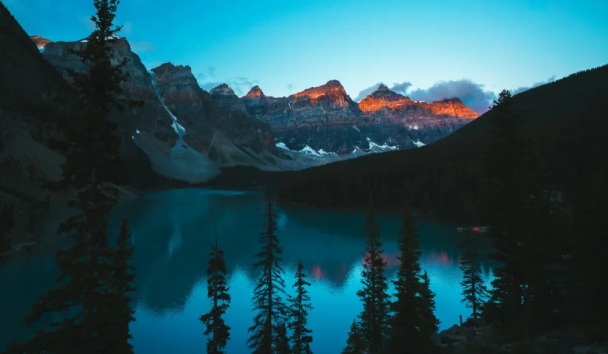 Eravikulam National Park