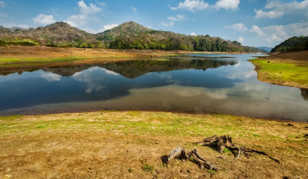 Periyar Lake