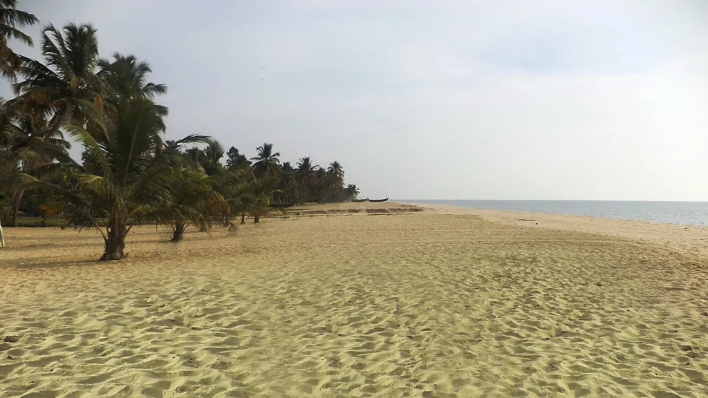 Enjoy long, clean, and peaceful beaches in Kerala India.