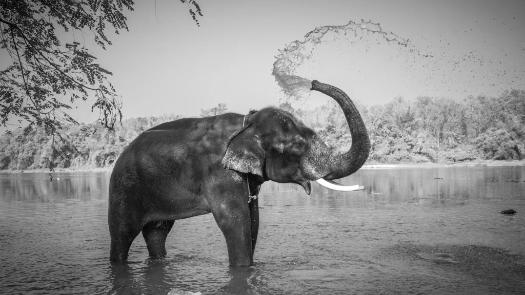 Best time to visit honeymoon destinations in Kerala for couples planning a budget trip.