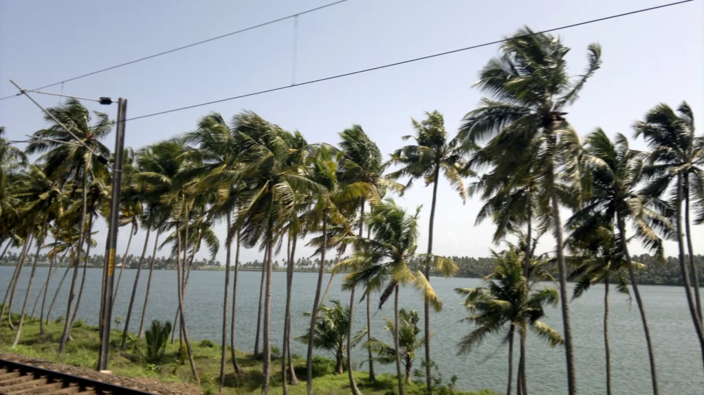 https://varanasiexcursion.com/blog/places-to-visit-in-varkala-15-best-tourist-places/