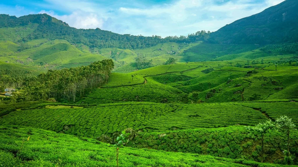Kerala is ideal for places to visit in India in December month.