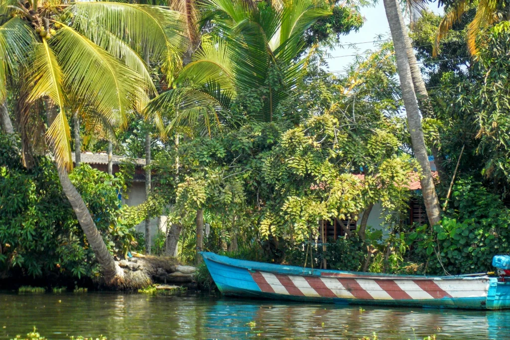 Kochi to Alleppey one day tour starts with a calm backwater ride.