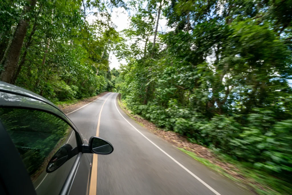 Kochi to Alleppey tour by cab passing green roadside views.