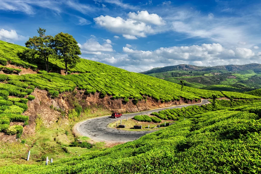 Munnar day trip from Kochi with scenic roadside stops.