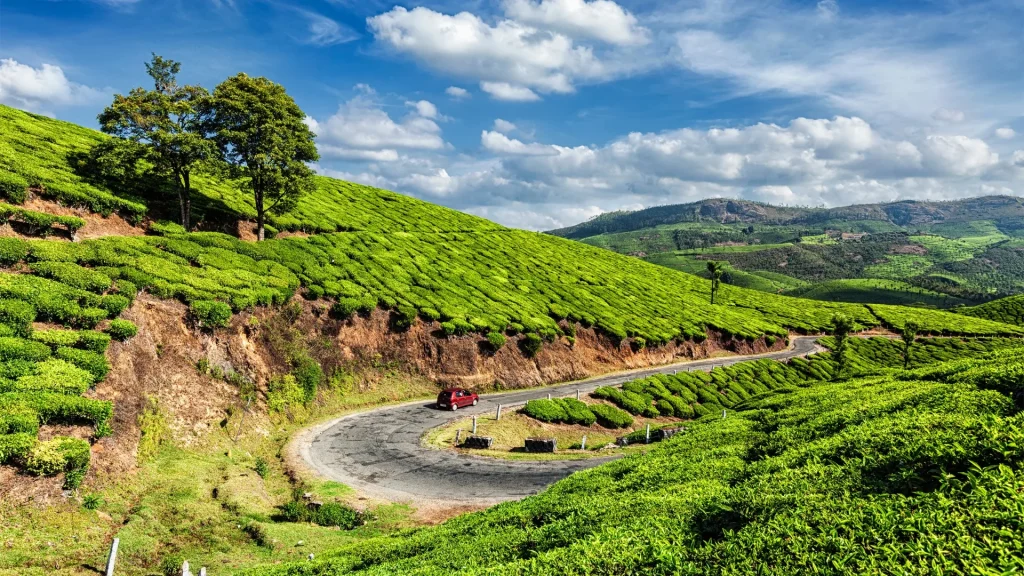 Munnar is one of the best places to travel in December in South India.