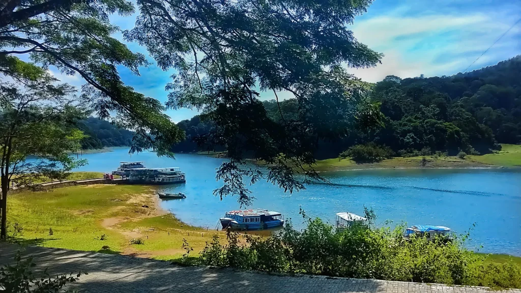 Munnar Thekkady package from Cochin begins with a calm hill drive.
