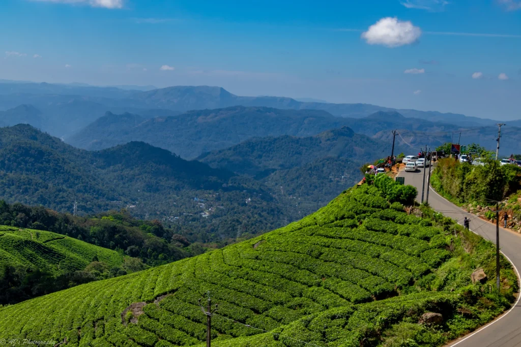 Munnar Thekkady tour package from Cochin shows a peaceful hills journey.