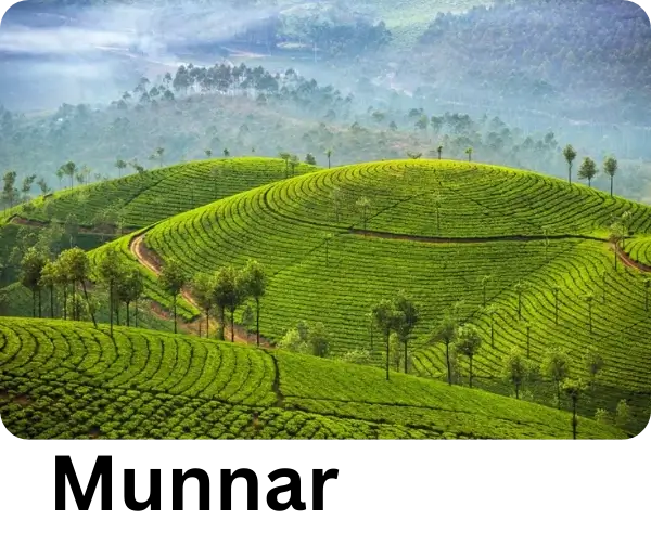 Browse Munnar tour packages with the best tour company in India.