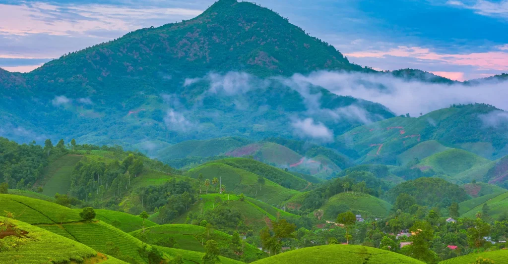 Nearby places to visit in Kochi lead me to Vagamon.