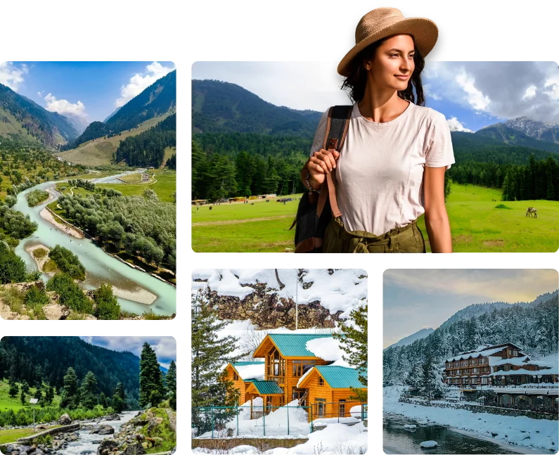 Mountain valleys and pine forests in Pahalgam tour packages.