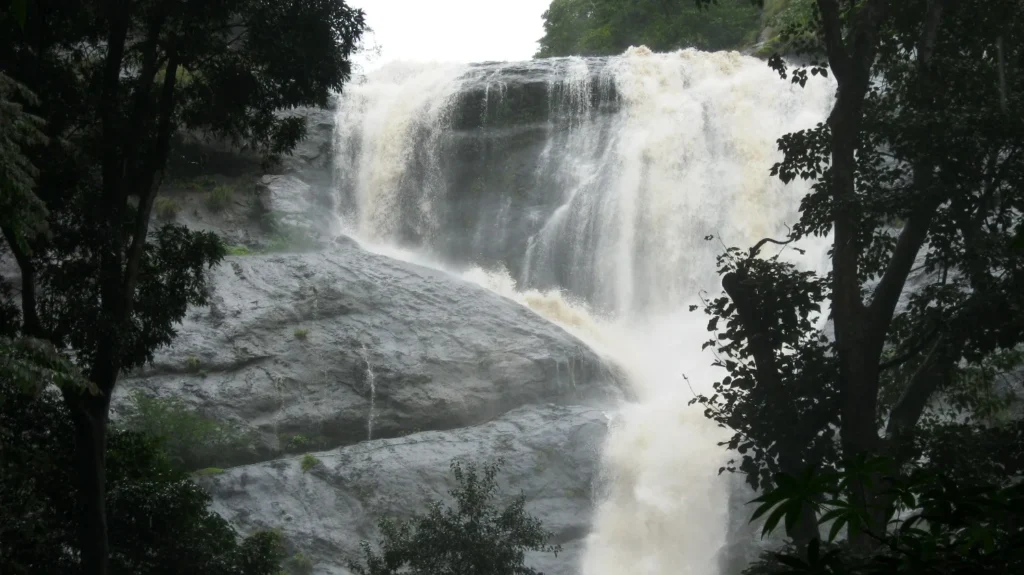 Palaruvi Waterfalls near Thenmala in Kollam, with powerful white water cascading over rocky cliffs surrounded by dense green forest.