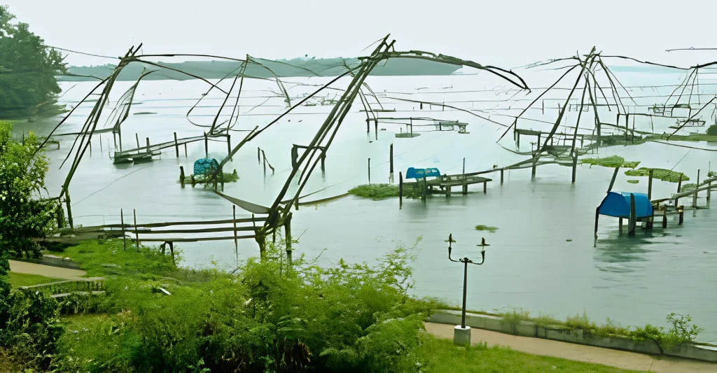 A quiet day in kumbalangi, one of places to visit in and near Cochin.