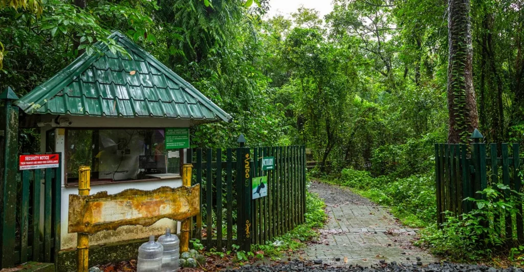 Places to visit in and near Kochi feel calm at Kumarakom.