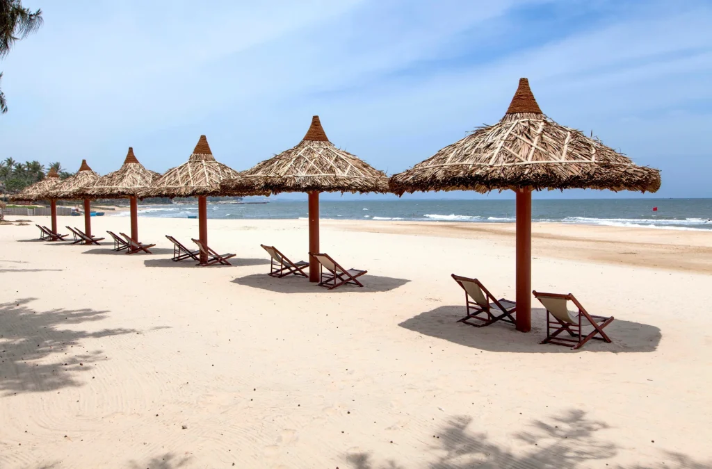 Places to visit in Cochin in one day, simple route.