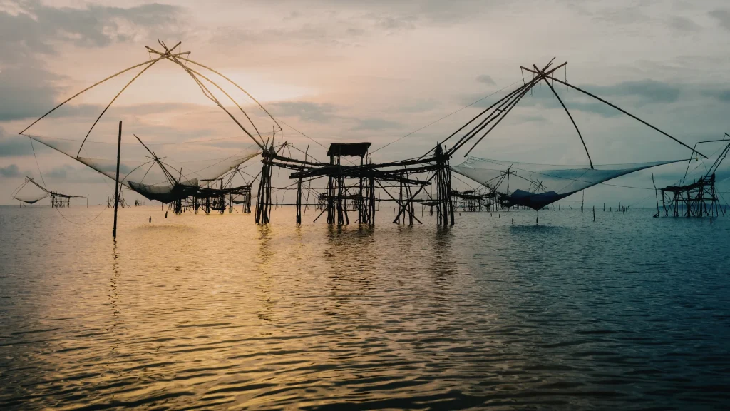 Watching places to visit in Fort Kochi by shore.