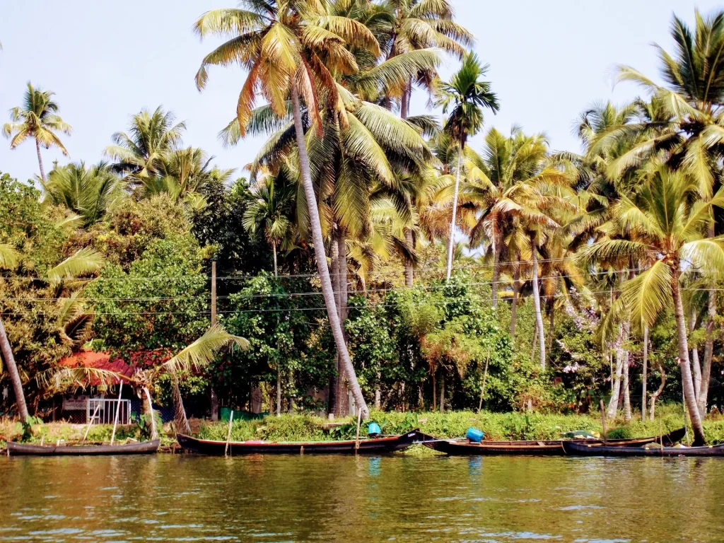Alleppey is among the places to visit in Kerala during summer.