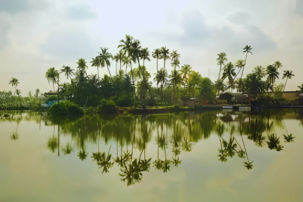 Kumbalangi village shows local life in places to visit in Kochi city.