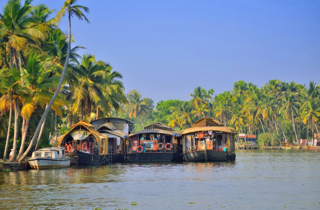 Slow moments follow places to visit in Kochi in 3 days.