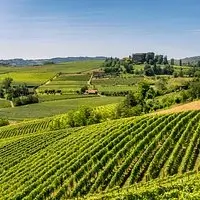 Profile picture of Emilie L from TripAdvisor.