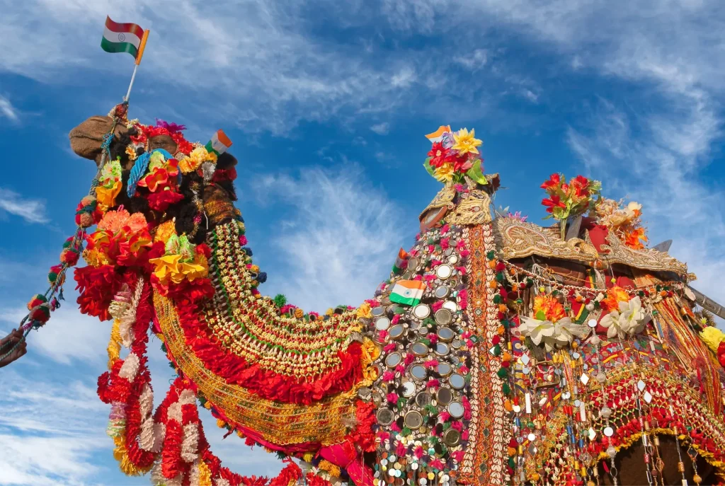 Pushkar Camel Fair is one of the famous cultural festivals in India.