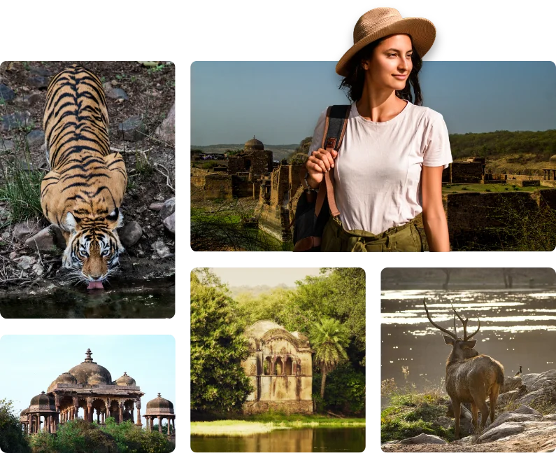 Wildlife safari landscapes in Ranthambore ranthambore tour packages.