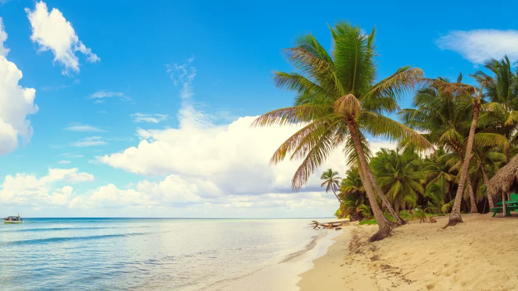 Relax at stunning beaches in Cochin Kerala.