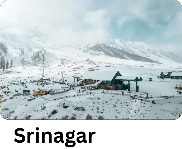 Explore Srinagar tour packages with a tour and travels company in India.