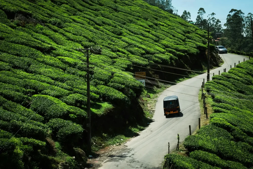 Guide to planning a summer vacation trip in Kerala.