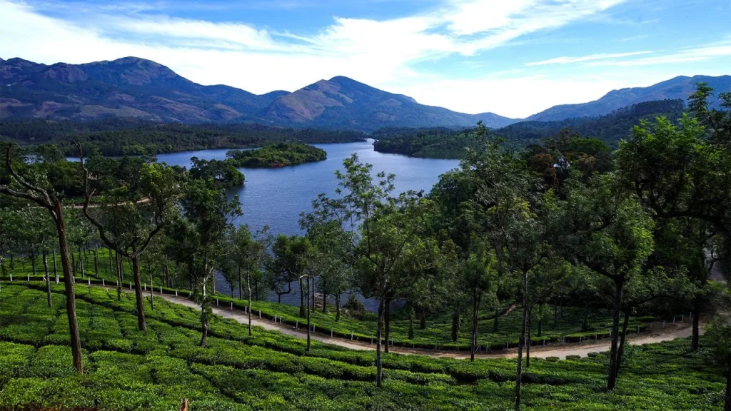 Thekkady is among the best places to visit in December in South India.