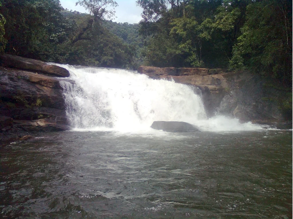 Exploring Thommankuthu waterfalls in Kerala India during a peaceful trek.