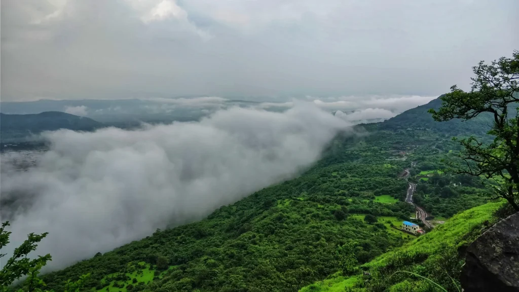 Wayanad is one of the romantic winter honeymoon destinations in India.