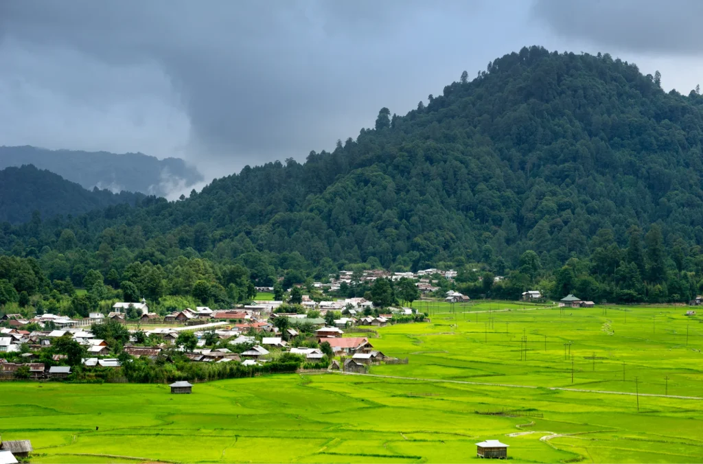 Ziro Valley is a top place to visit in North East India in November.
